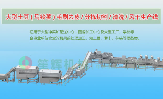 万安连续式土豆去皮清洗切割风干生产线